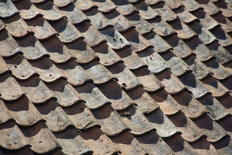 Green Roof